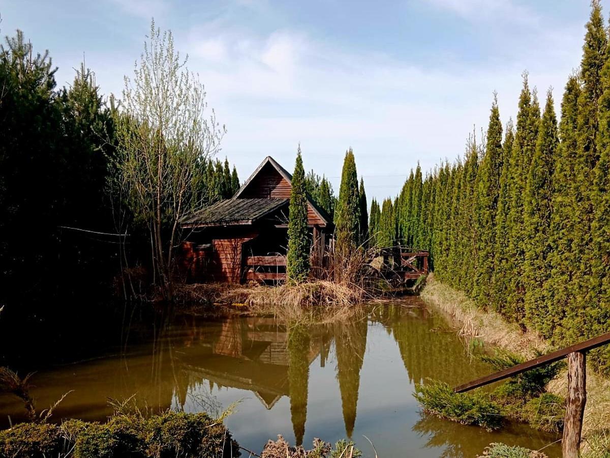 德乌尔纳欧土林酒店 Białowieża 外观 照片